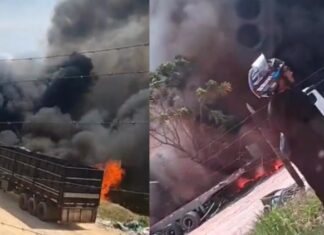 Incêndio se espalha por área próxima a empresa no Distrito Industrial