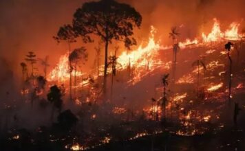 Amazonas registra alta de 282% nos focos de queimadas em setembro