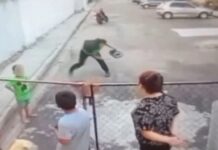 VÍDEO: Homem joga pedra em cachorro e quase acerta crianças no Conjunto Viver Melhor, em Manaus