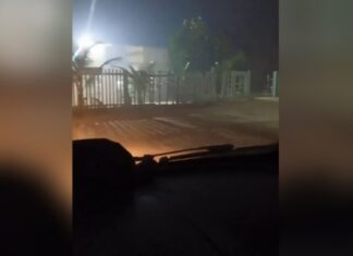 Queimada espalha fumaça e reduz visibilidade na rodovia AM-010