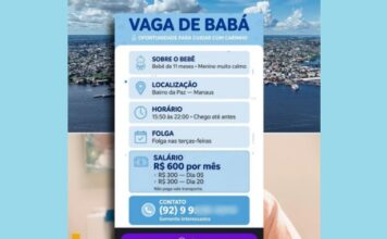 Suposta vaga de babá com salário de R$ 600 viraliza e divide opiniões em Manaus