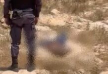 Corpo de homem é encontrado em área de mata na Zona Norte de Manaus