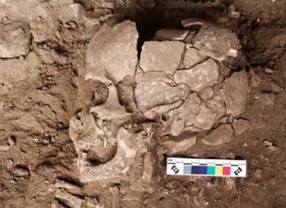 Vestígios em esqueletos revelam uso de drogas por humanos há 25 mil anos