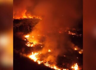 Incêndio de grandes proporções em Iranduba ocorre em meio à disparada das queimadas no AM