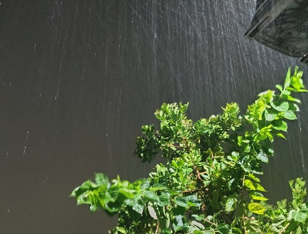CHUVA