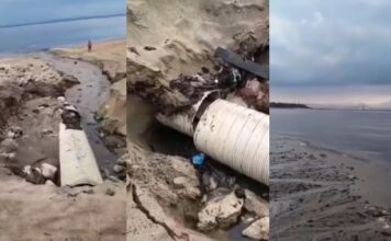 VÍDEO: Tubulação despeja água na praia da Ponta Negra e provoca revolta nas redes sociais