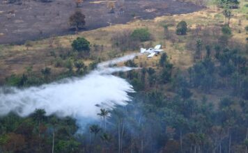 Combate a incêndios florestais no Amazonas mobiliza 18 aeronaves e 3,2 milhões de litros de água