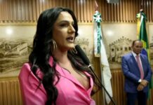 População trans amplia representação no Poder Legislativo