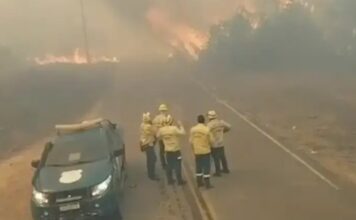 Incêndio volta a atingir vegetação às margens da AM-254, em Autazes