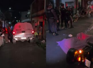 Motorista de ônibus da Via Verde é balead0 e mort0 com diversos tir0s na Compensa em Manaus