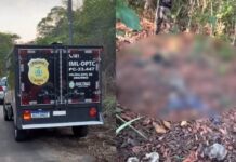 Corpo de homem é encontrado decapitad0 em área de mata no Tarumã em Manaus