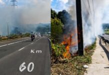 Grande quantidade de fumaça toma a Avenida das Torres após incêndio em área de vegetação