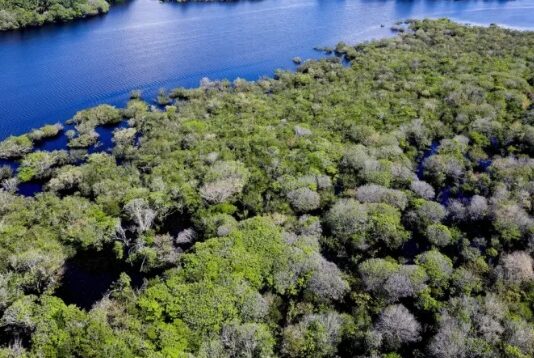 Governo da Holanda promete R$ 2,7 bilhões para fundo de florestas tropicais do Brasil