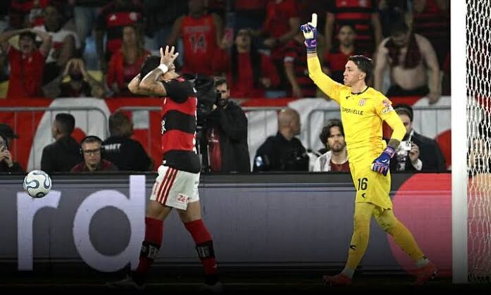 images (8)