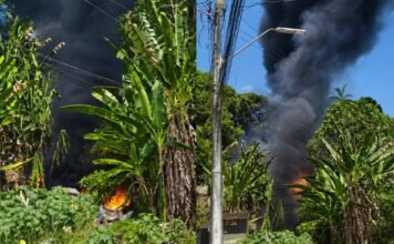 Incêndio assusta moradores após fogo se espalhar por área de vegetação no Jorge Teixeira