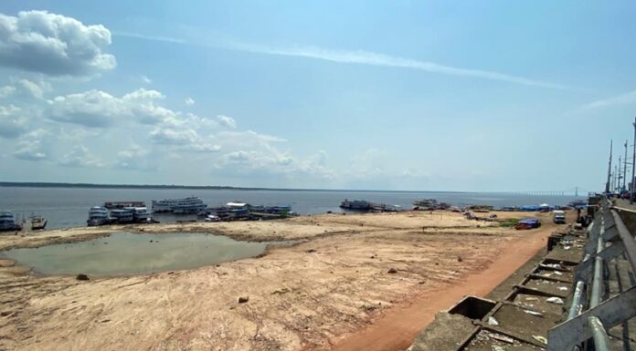 Queda dos rios leva 22 municípios do Amazonas a decretarem emergência pela seca