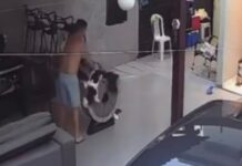 Vídeo de homem agredindo cachorro ajuda polícia a localizar e prender suspeito em Manaus