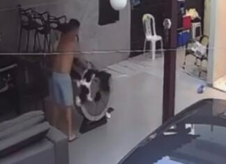 Vídeo de homem agredindo cachorro ajuda polícia a localizar e prender suspeito em Manaus
