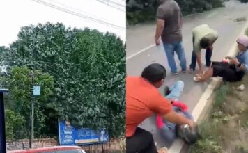 Motociclista e passageira são atingidos por árvores derrubadas por retroescavadeira em Manaus