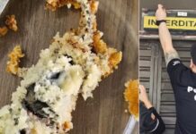 Rato morto em bolo e alimentos vencidos levam à prisão de dona de confeitaria